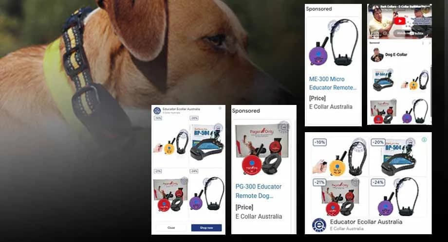Educator e-collar product range.
